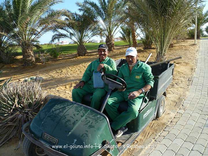 Segtours RedSea Ltd. 202